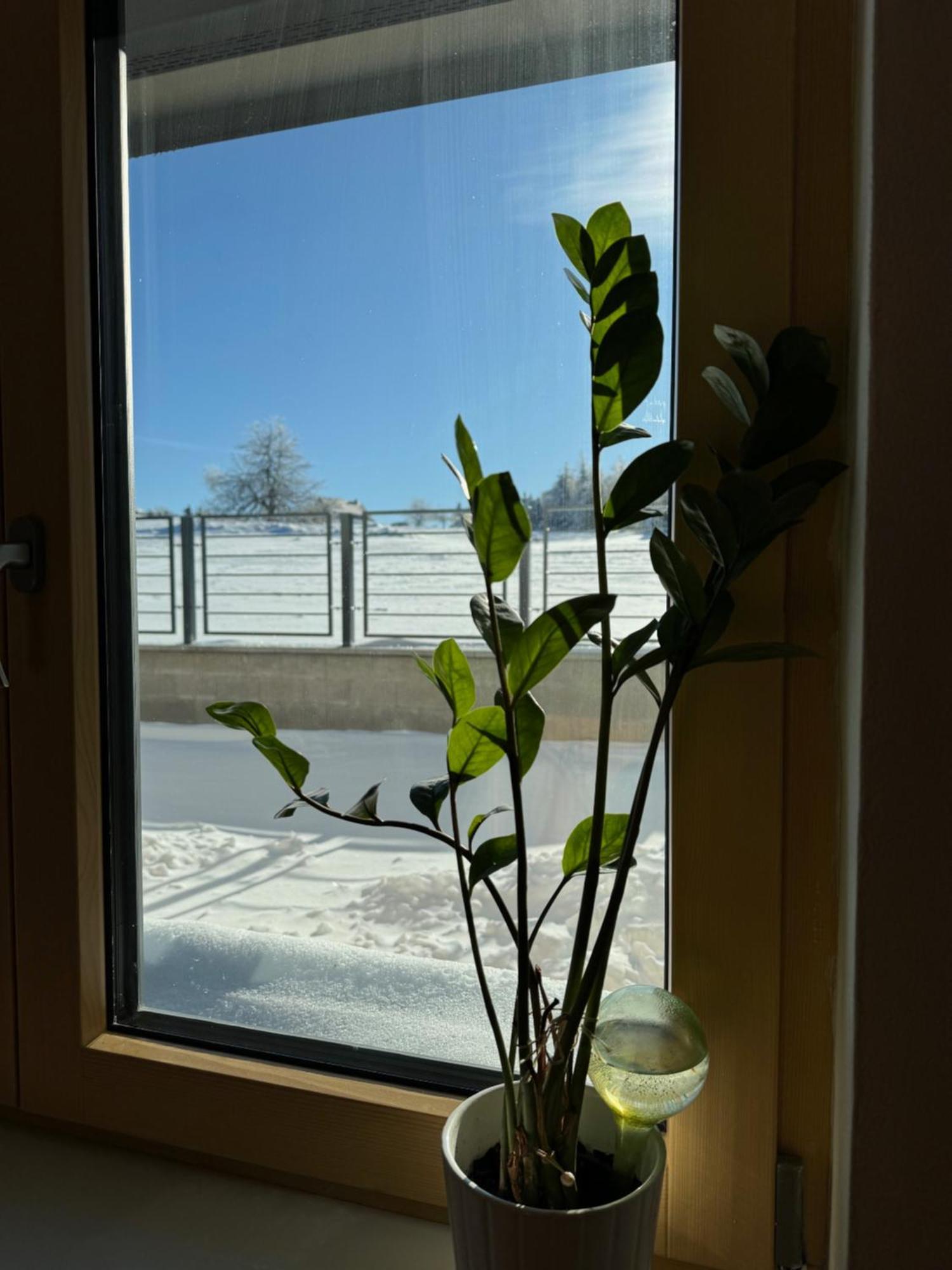 Penzion Stara Posta Dubí Exteriér fotografie